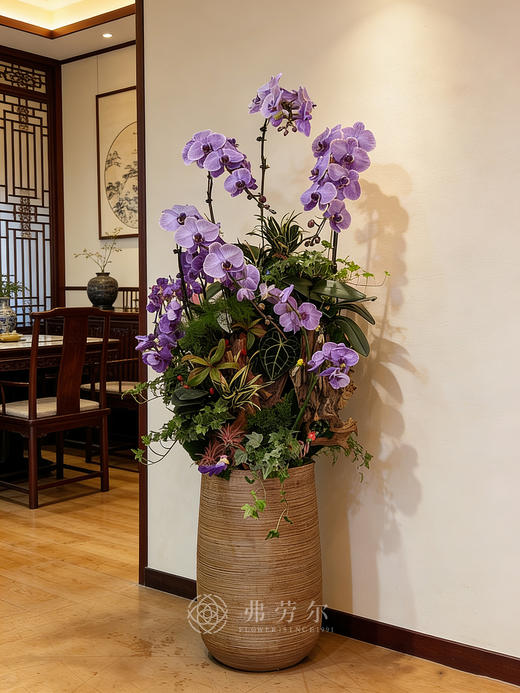 天马行空 商品图1