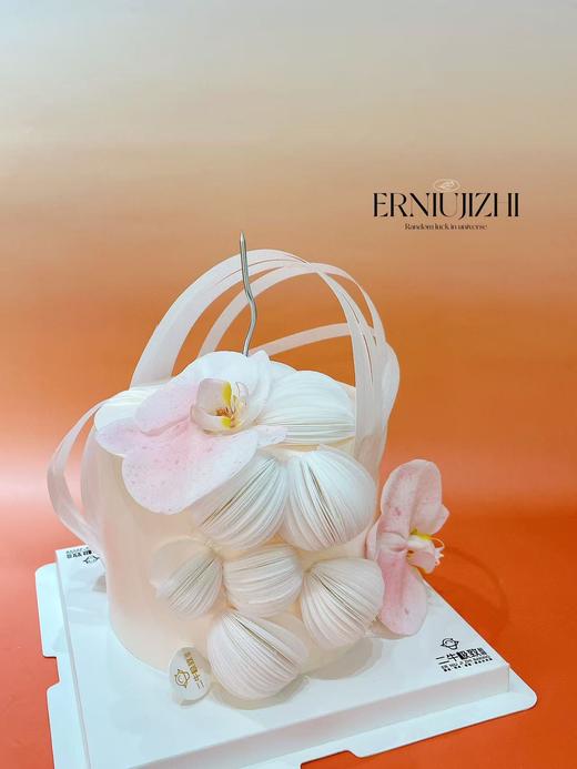 蝴蝶兰A 商品图2