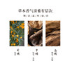 正安 桂花沉檀线香 五味本草香料 20g/盒（约70根） 商品缩略图7