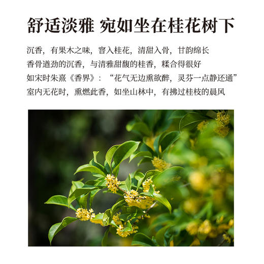 正安 桂花沉檀线香 五味本草香料 20g/盒（约70根） 商品图3