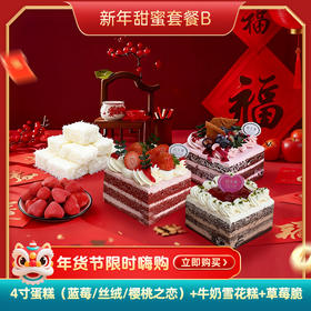 新年甜蜜套餐B