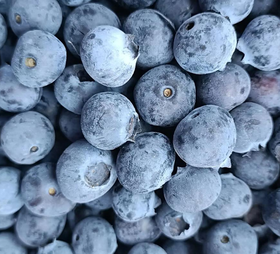 蓝莓 300g