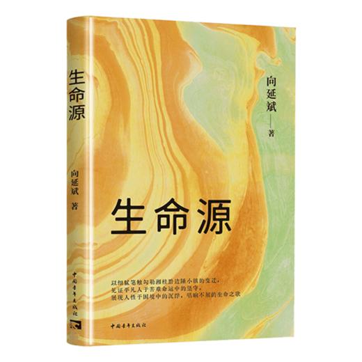生命源 向延斌著 中国青年出版社 商品图1