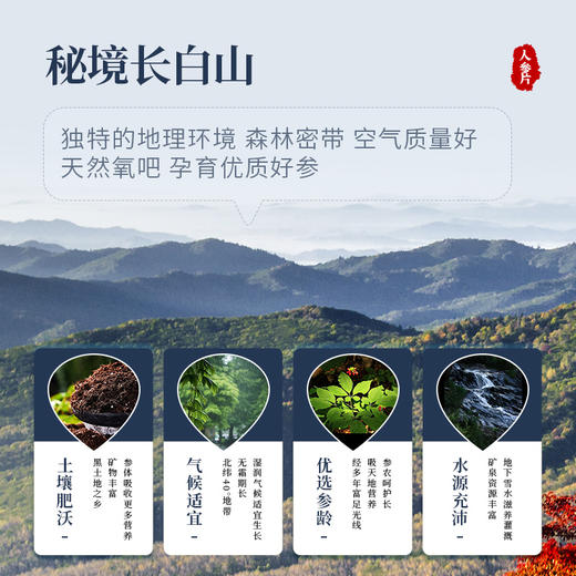 康美新开河人参片75g/瓶 吉林长白山人参片切片泡水泡茶煲汤养生礼 商品图4