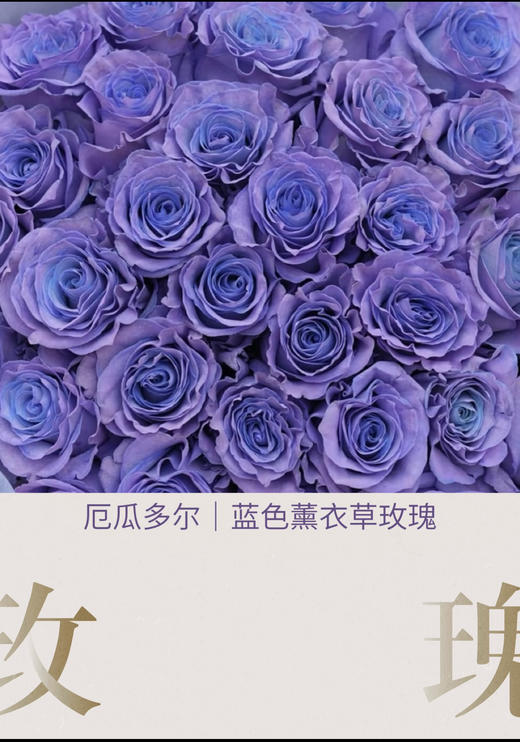 海盐情书 · 玫瑰花束 商品图1