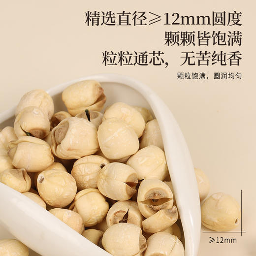 正安 湖南湘潭白莲子 农会金奖日晒低烘粒大饱满 优质原材 甘平下火降燥温养口感粉糯清甜 滋润秋冬煲汤食材家庭糖水四神汤 去芯莲子250g/罐 商品图7