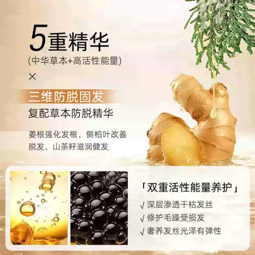 海瑟薇洗发水（防脱固发）500ml-山茶籽 商品图4