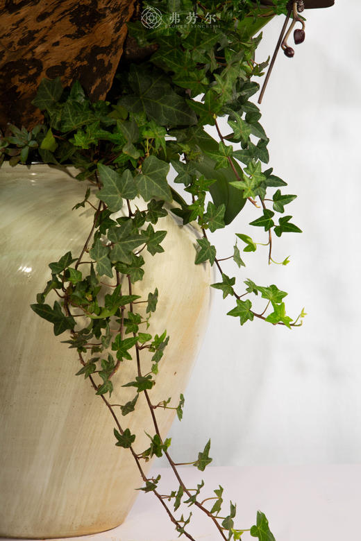 马跃春水绿 商品图3