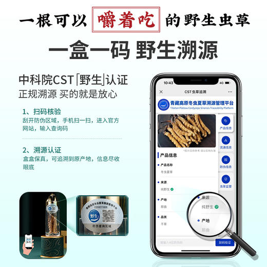 国坤堂 西藏那曲虫草贵系礼盒 商品图5