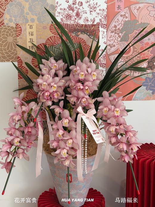 福满花枝 · 大花蕙兰盆栽 商品图0