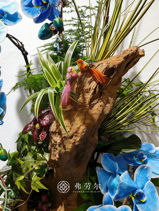 大展宏图 商品图1