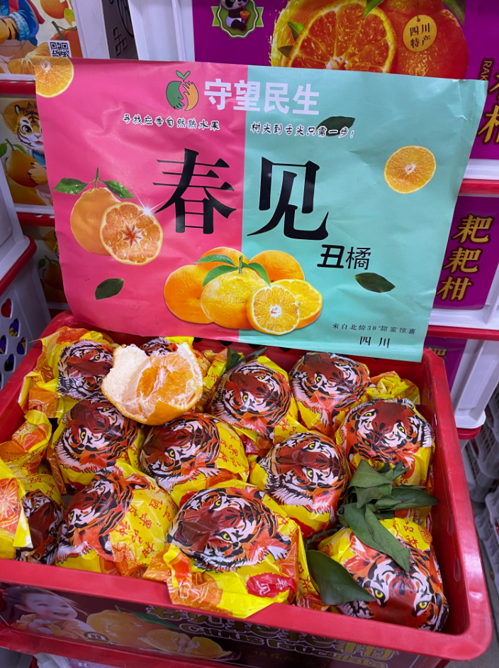 红框守望民生春见丑橘一箱