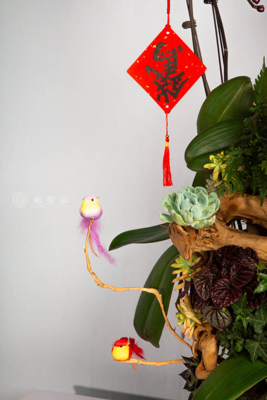 马踏雪花轻 商品图3