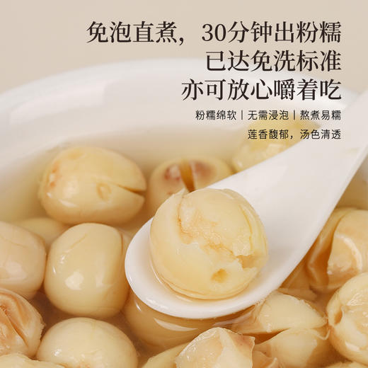 正安 湖南湘潭白莲子 农会金奖日晒低烘粒大饱满 优质原材 甘平下火降燥温养口感粉糯清甜 滋润秋冬煲汤食材家庭糖水四神汤 去芯莲子250g/罐 商品图8