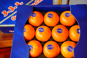 【年货节】/沃柑礼盒【TC】