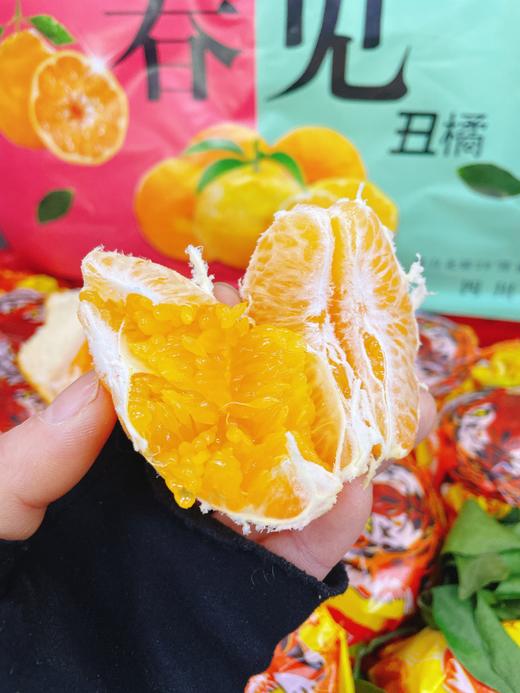 红框守望民生春见丑橘一箱 商品图1