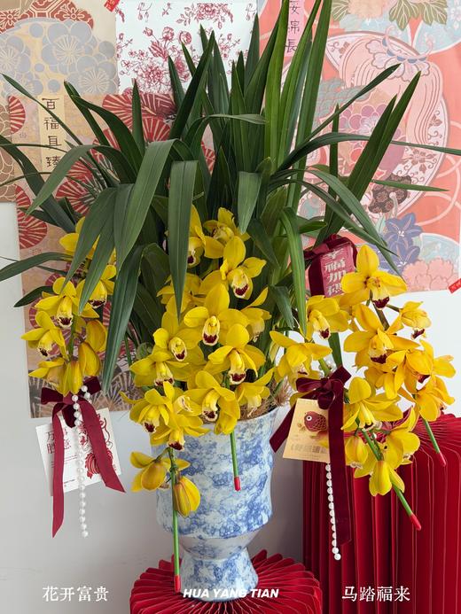 福满花枝 · 大花蕙兰盆栽 商品图3