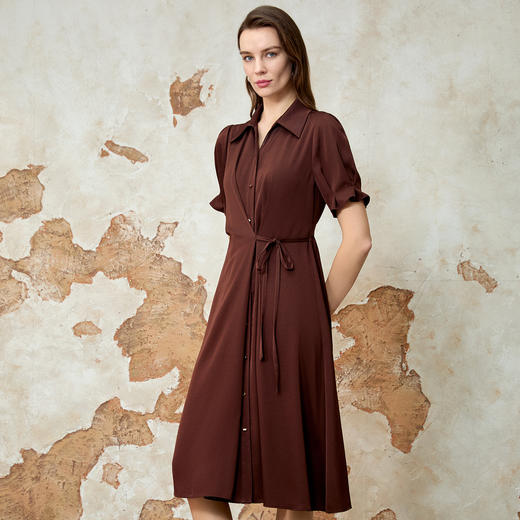 EITIE爱特爱精致通勤气质收腰咖色压褶a字衬衫连衣裙春季新款8107824 商品图2