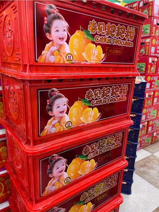 红框守望民生春见丑橘一箱 商品图2