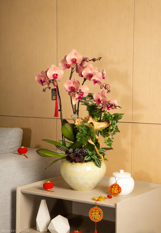 马驰平安道 商品图0