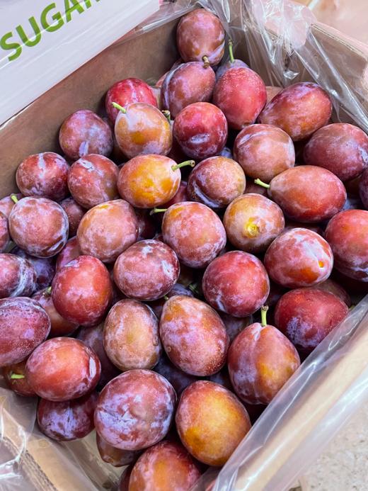 西梅一箱 商品图4