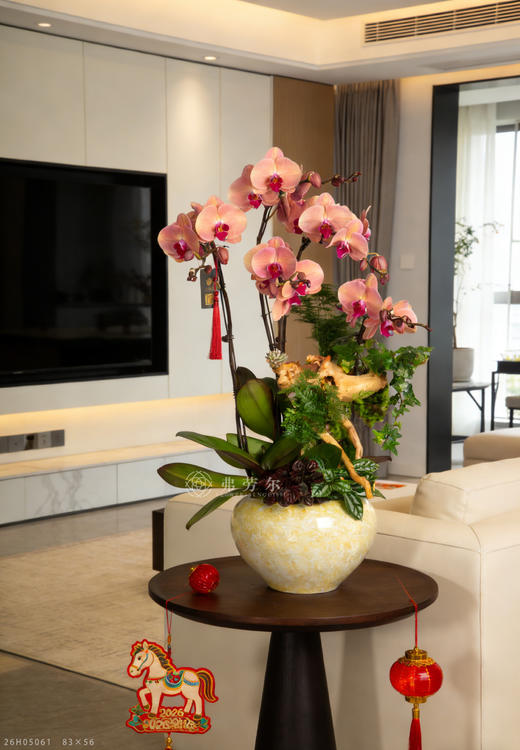 马驰平安道 商品图1