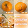 生态耙耙柑 | 合作生产 *Ecological Harumi Tangerine | Partner Production 商品缩略图5