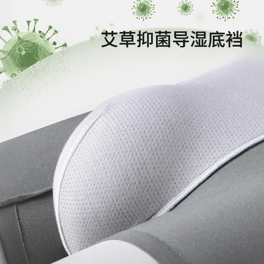 皇家丽美【4条装】云感轻柔26年新款男士内裤 艾草抑菌底档 柔软丝滑贴合不松垮平角裤DKN1273 商品图4