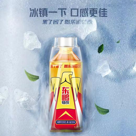 东鹏特饮维生素功能饮料500ml 商品图1