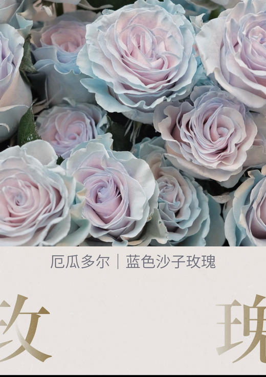 浪漫序章 · 玫瑰花束 商品图1