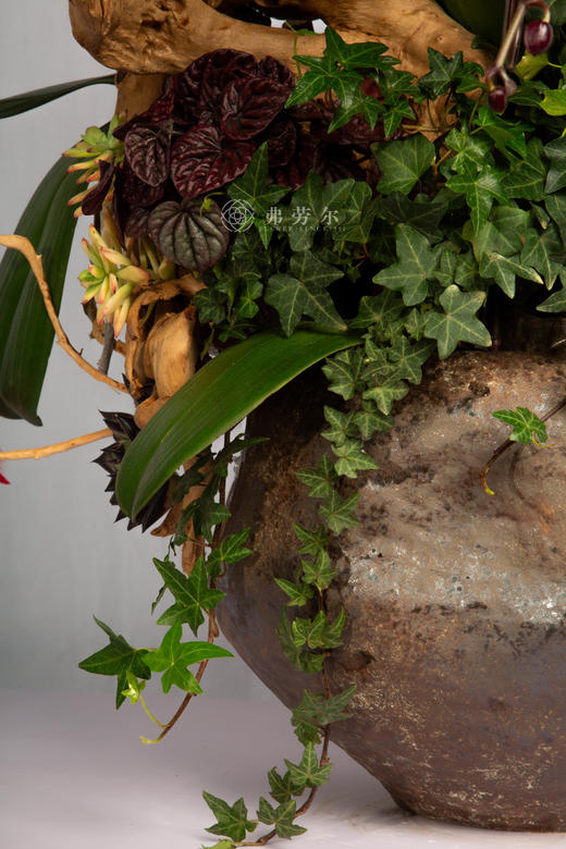 马踏雪花轻 商品图4