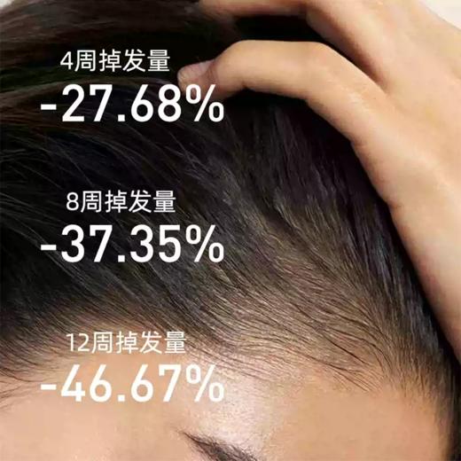 海瑟薇洗发水（防脱固发）500ml-山茶籽 商品图2