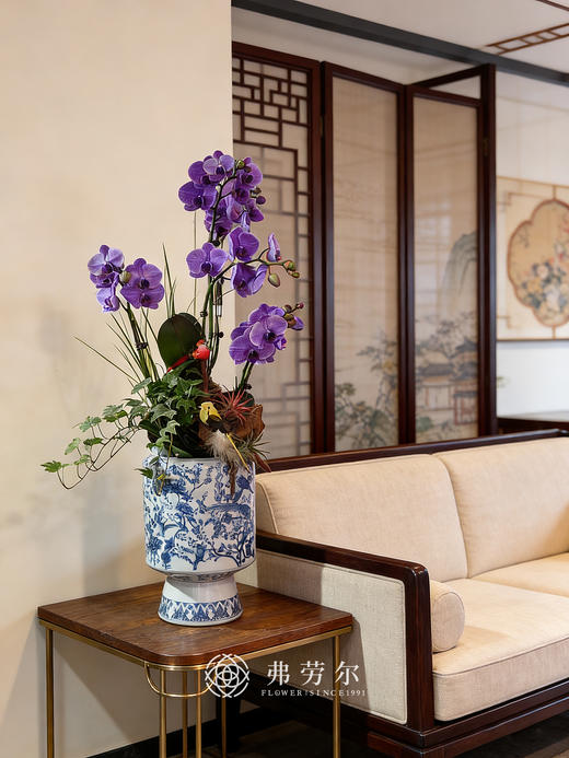 如日方升 商品图0