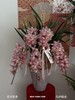 福满花枝 · 大花蕙兰盆栽 商品缩略图1