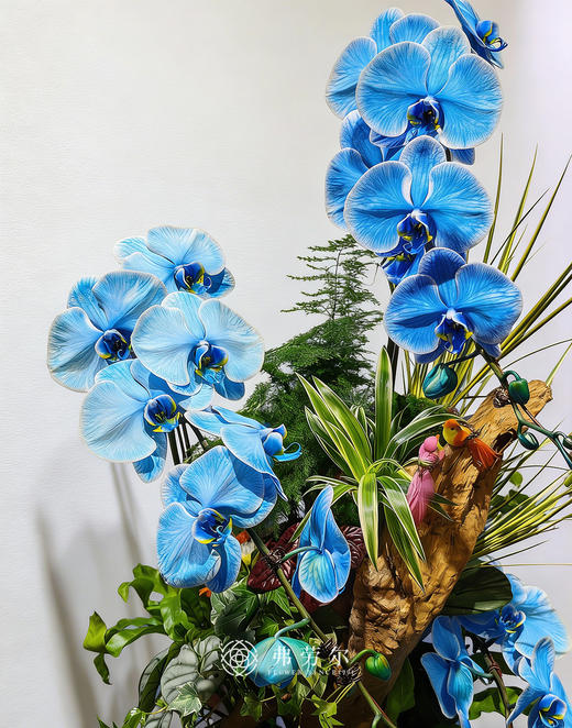 大展宏图 商品图5