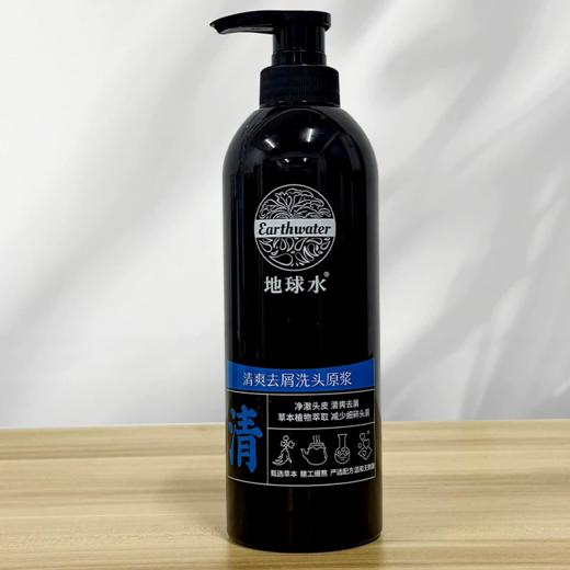 地球水清爽去屑洗头原浆（清） 商品图3
