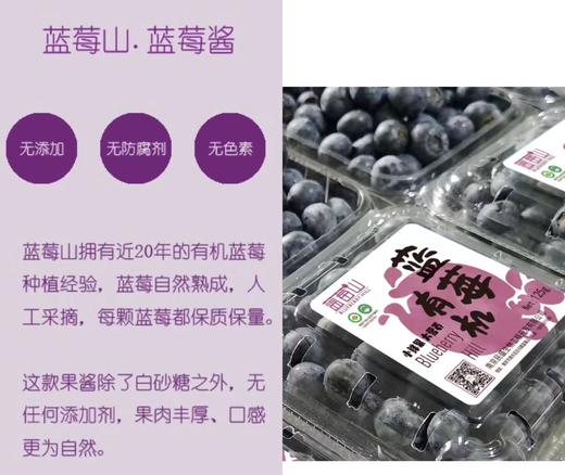 蓝莓山有机蓝莓酱  （200g/瓶× 2） 全国配送（偏远地区除外） 商品图2