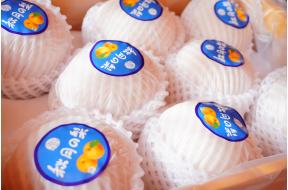 【年货节】/秋月礼盒/【TC】 商品图1