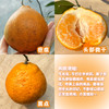 生态耙耙柑 | 合作生产 *Ecological Harumi Tangerine | Partner Production 商品缩略图1