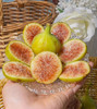 花香蜜无花果，溏心质地，甜度高 商品缩略图3
