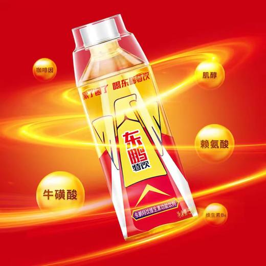 东鹏特饮维生素功能饮料500ml 商品图2