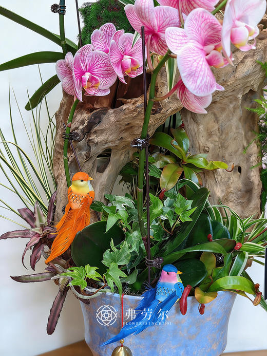 康庄大道 商品图2