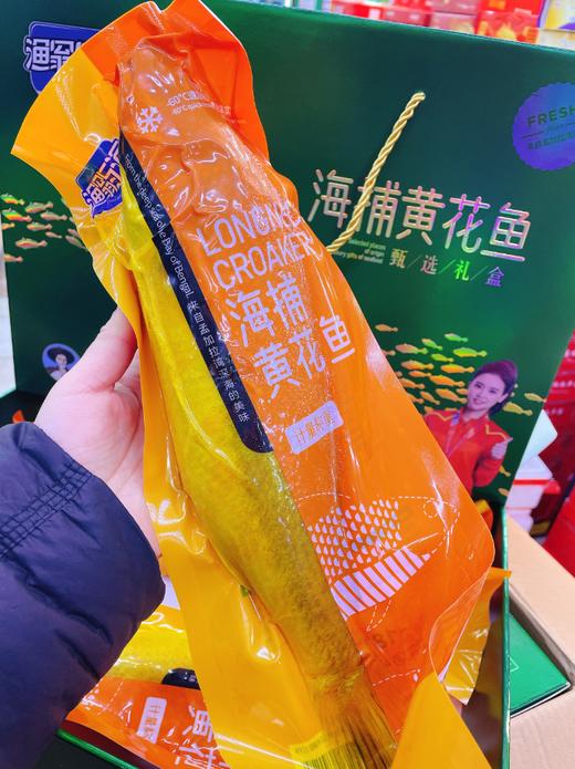 渔翁与海黄花鱼一根 商品图2