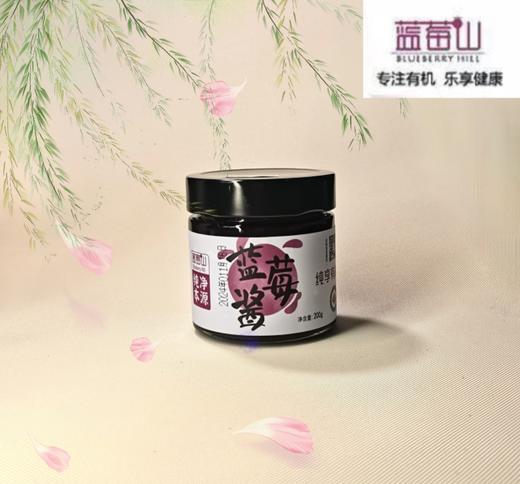 蓝莓山有机蓝莓酱  （200g/瓶× 2） 全国配送（偏远地区除外） 商品图0