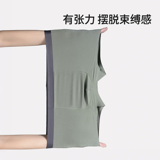 皇家丽美【4条装】云感轻柔26年新款男士内裤 艾草抑菌底档 柔软丝滑贴合不松垮平角裤DKN1273 商品图2