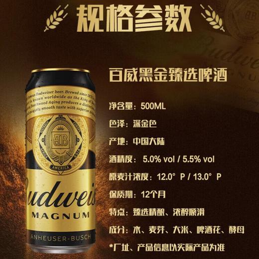 百威 黑金13°P啤酒 500ml*/1听/6听/12听 商品图4