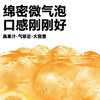 柠檬共和国云雾沙糖桔气泡果汁1.25L 商品缩略图4