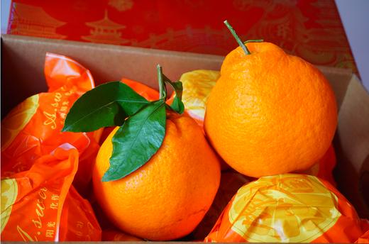 【年货节】/耙耙柑礼盒/【TC】 商品图0