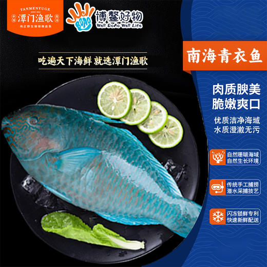 南海珊瑚海鲜礼  B（买即送鲜鱼包一份500 克 ，数量有限送完即止） 商品图1