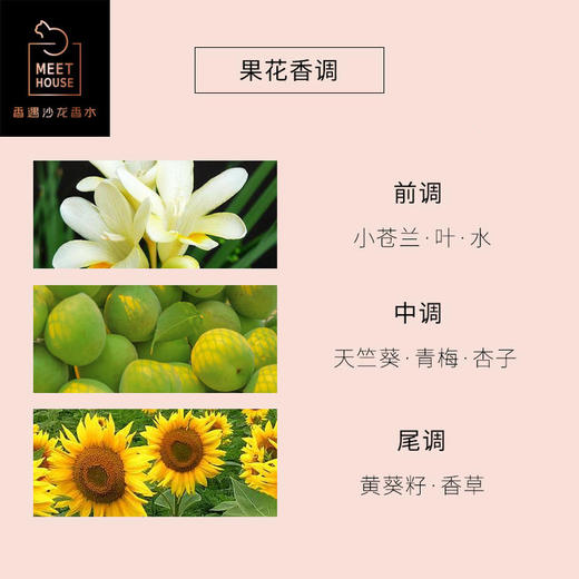 青梅煮雨100ml 商品图3